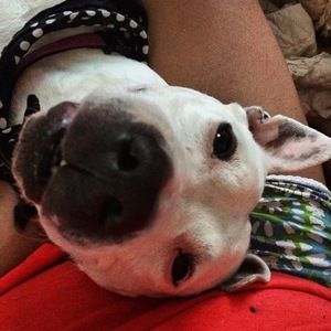 Meet your Posher, Helaina